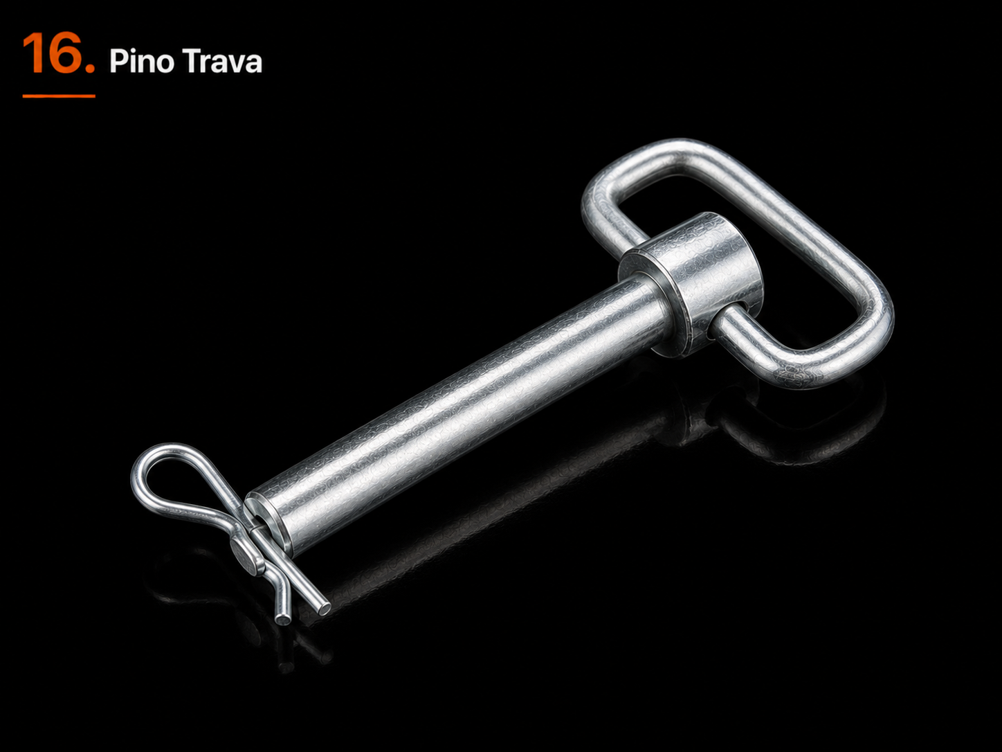 Pino Trava
